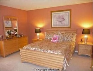 4th image of 10480 Manns Harbor Ct