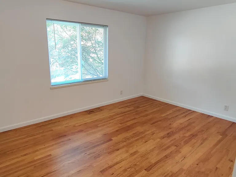 81 Forestvale Dr — Photo 19