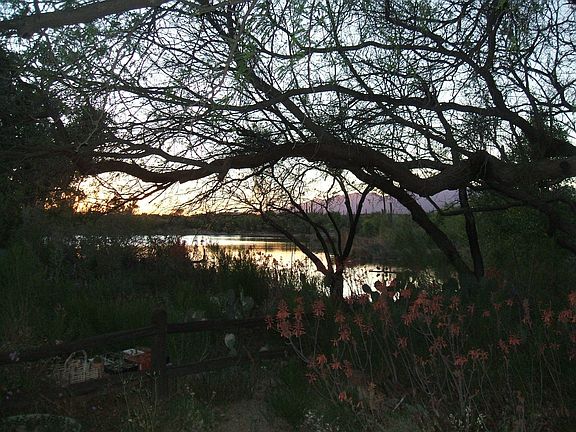 view of lake in front of house
