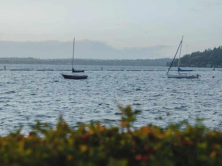 Bella Vista — Photo 49