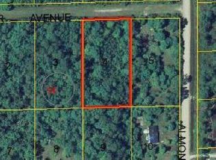 6265 Alder Ave, Bunnell, FL 32110