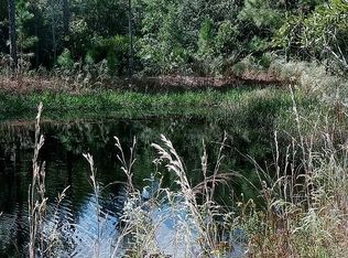 County Road 445a, Astor, FL 32102