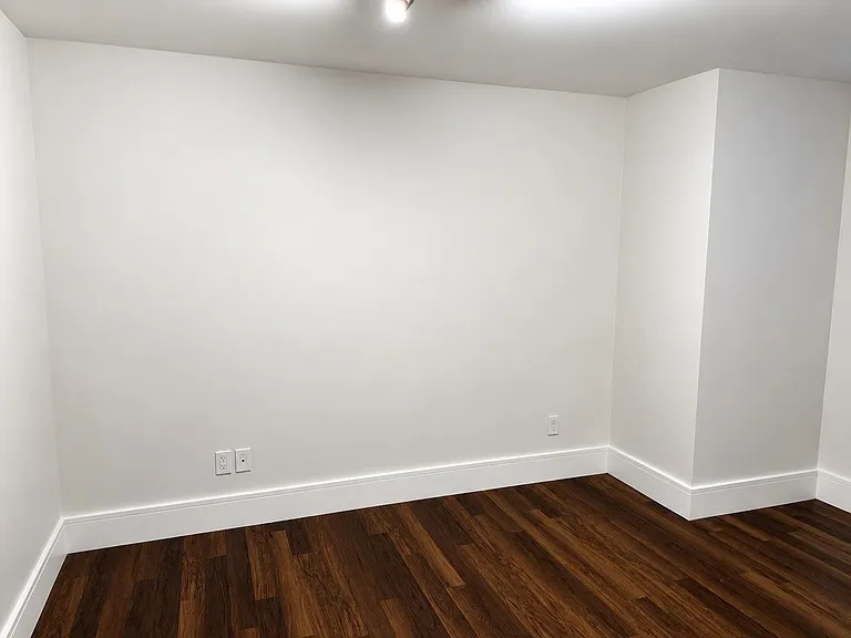 339 W 21st St #BASEMENT — Photo 12