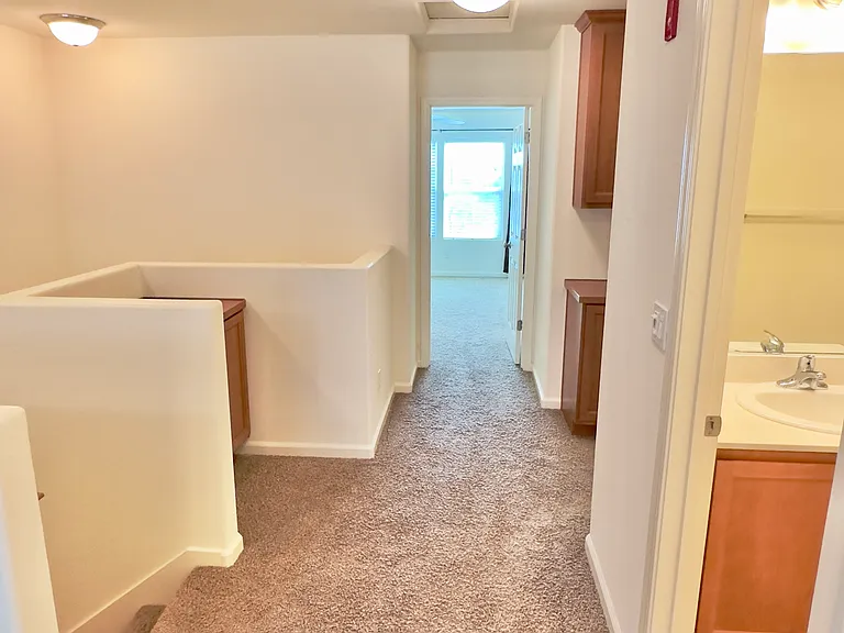 209 Blossom Rock Ln — Photo 16