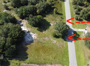 502 Bottlebrush Ave #29, Lake Placid, FL 33852