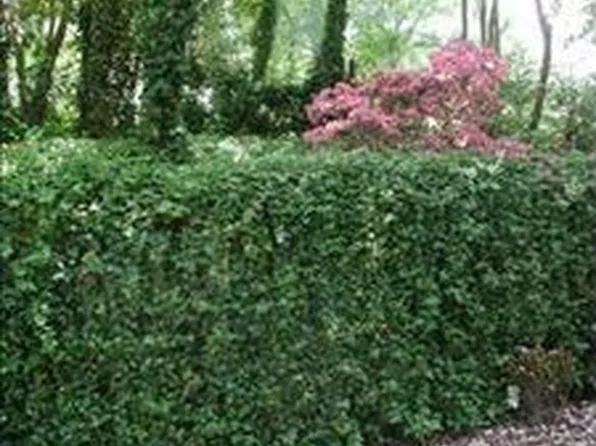 384 Micasa Dr, Pendleton, SC 29670