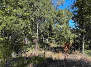 Hanna Loop, Hemingway, SC 29554