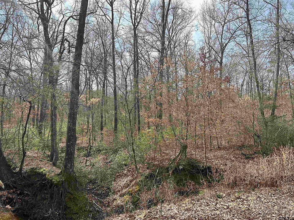 1st image of County Road 490 W