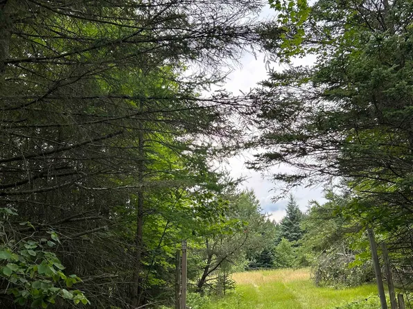 0 Scott Rd, East Tawas, MI 48730