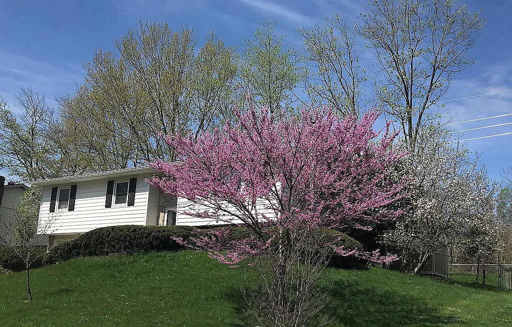 921 N Plymouth Ct photo 1