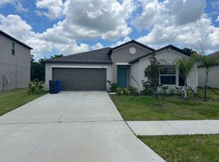 13357 Willow Bluestar Loop, Riverview, FL 33579