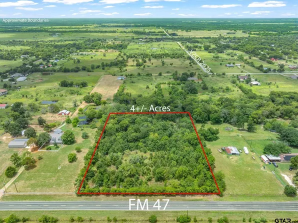 19 & 20 Fm 47, Wills Point, TX 75169