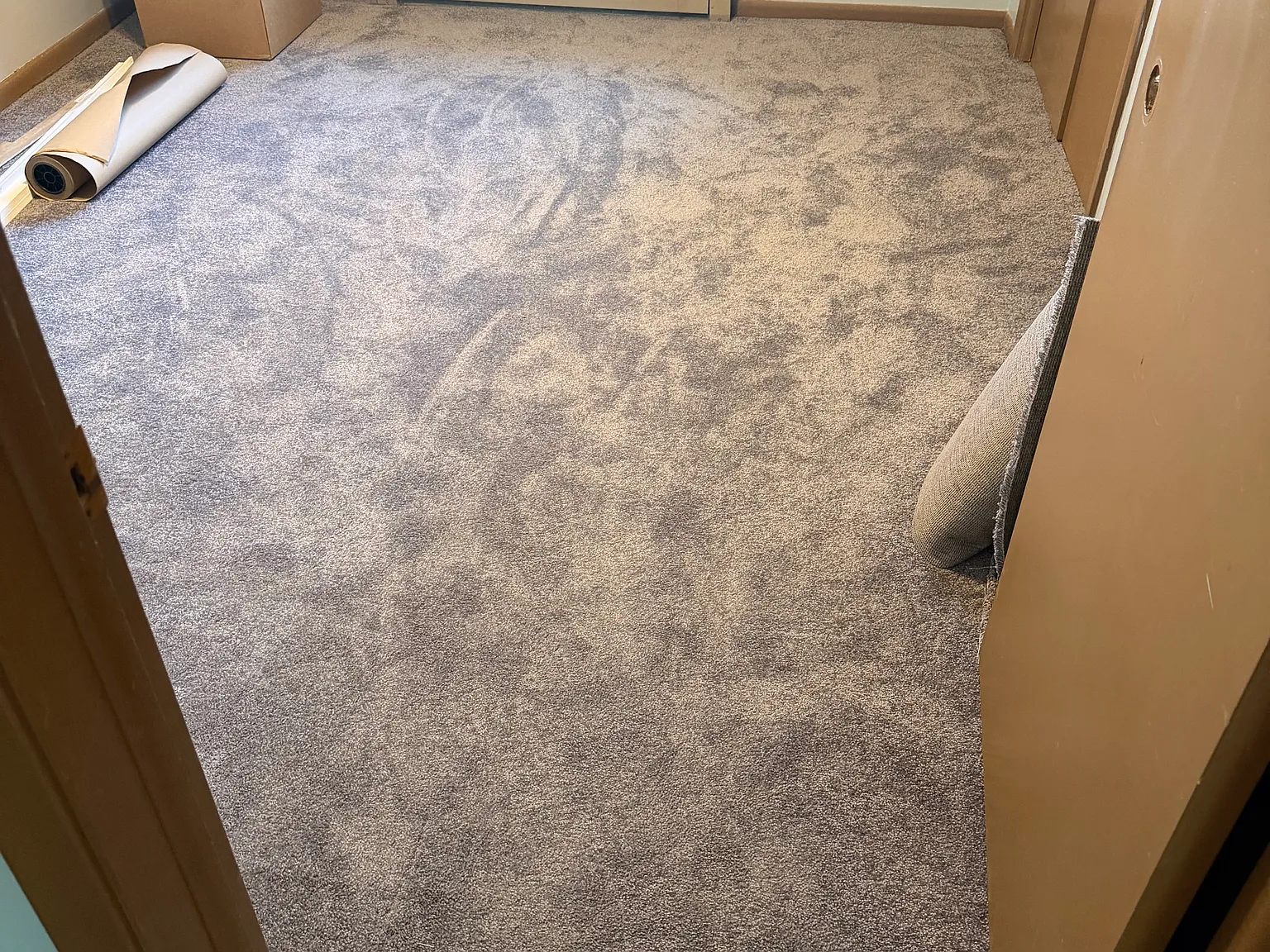 1 bed, $550 — Photo 2