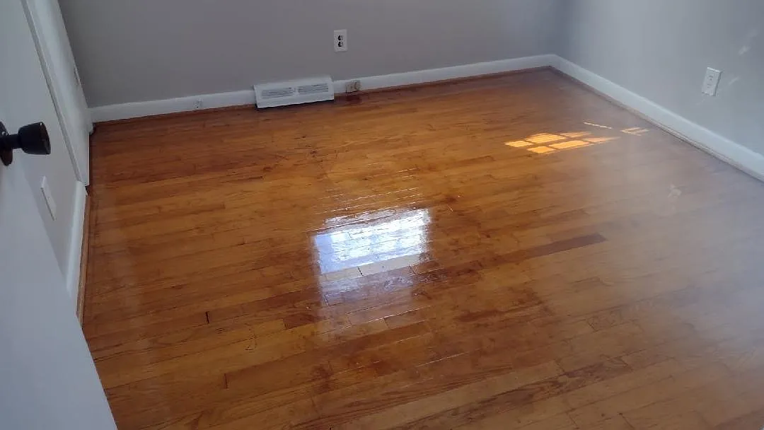 3 bed, 1205 sqft, $1,800 — Photo 2