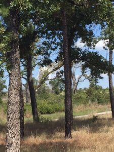125 McAllister Rd, Bastrop, TX, 78602