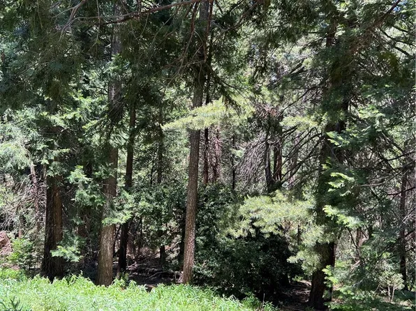 0 Oak Dr #38, Crestline, CA 92325