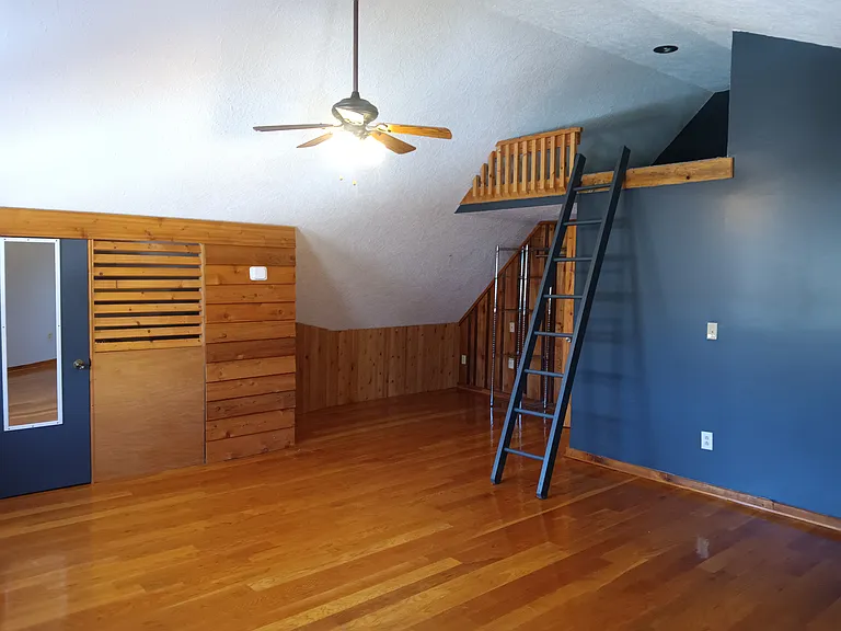 Bonus room / loft