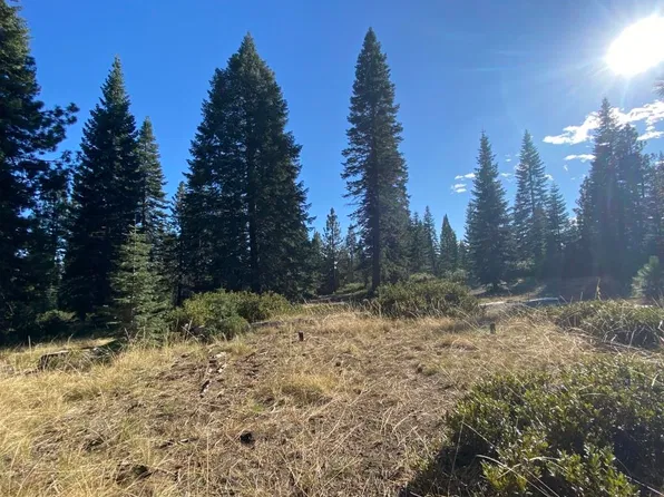 4-H-6 & 7 Ridge Dr #4, McCloud, CA 96057