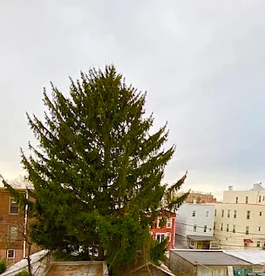 Rented by Axxess Realty Group | media 2