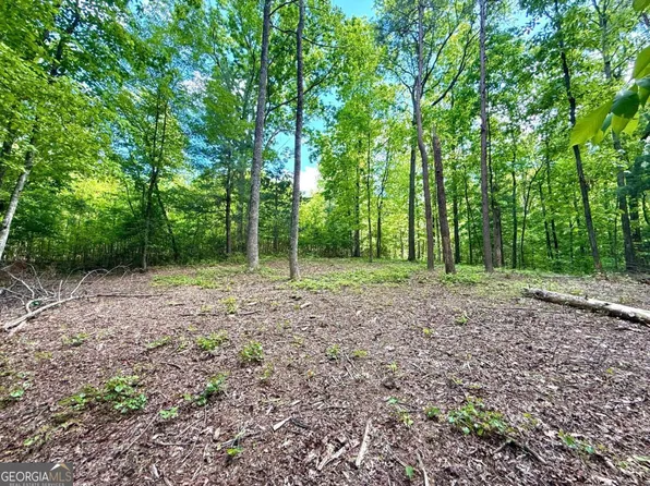 164 Reindeer Ln, Talking Rock, GA 30175