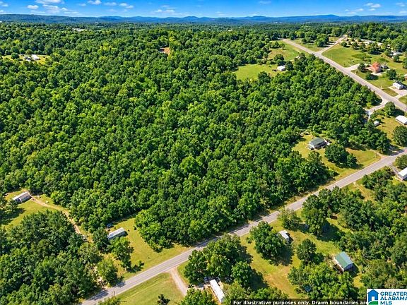3rd image of 707 Butter & Egg Rd