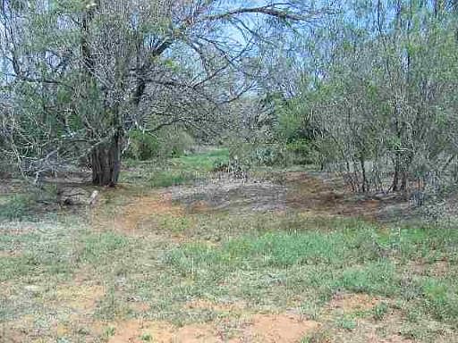 2nd image of 12.5 ACRES FM 2146