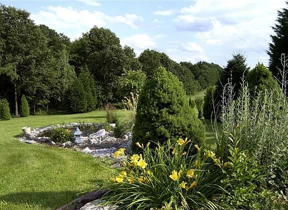 Garden & Fish Pond
