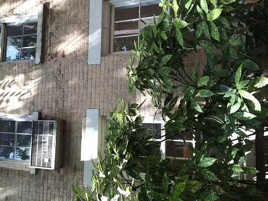 Rented by Downtown Realty Group LTD | media 10