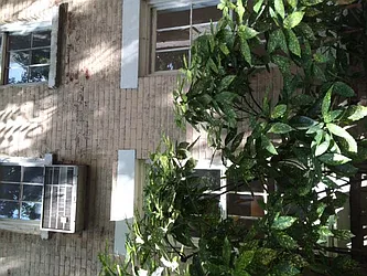 Rented by Downtown Realty Group LTD