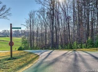 18 Grizzly Dr #67, Leicester, NC 28748