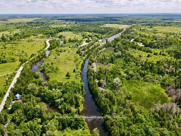 81 McGuire Beach Rd, Kawartha Lakes, ON K0M 2B0