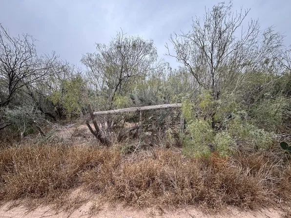 LOT 59 Los Fresnos Loop, Laredo, TX 78046