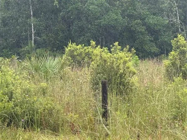 765 N US HIGHWAY 17 LOT 243, PIERSON, FL 32180