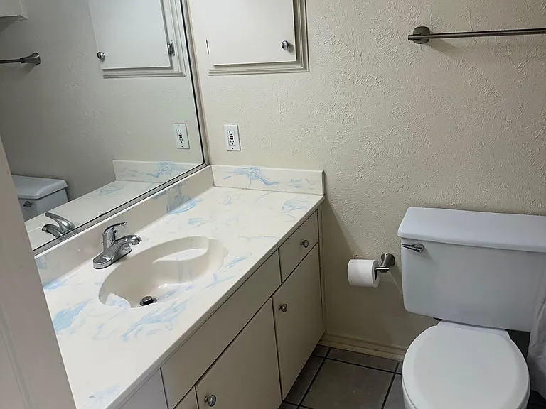 6050 Birchbrook Dr #242 — Photo 11