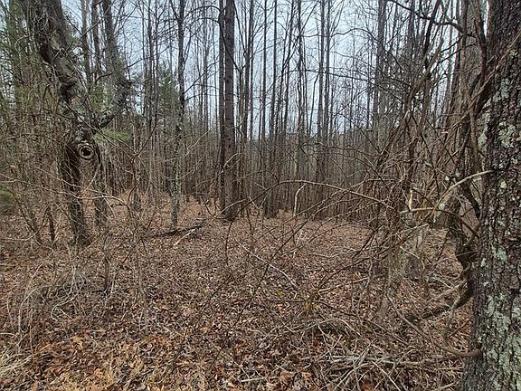 4th image of 14 Vista Ridge Dr