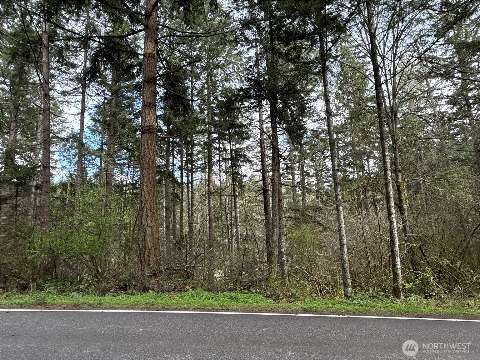 17636 E Clear Lake Boulevard SE photo 1