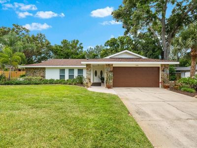 535 Sandy Hook Rd, Palm Harbor, FL, 34683