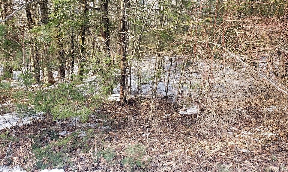 Haddock Rd, Monticello, NY 12701 MLS H6170019 Zillow