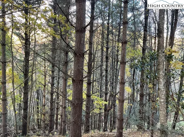 0 Gray Fox Lane, Banner Elk, NC 28604