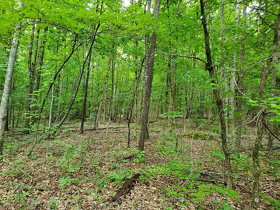 4th image of 235 County Rd Lot 1