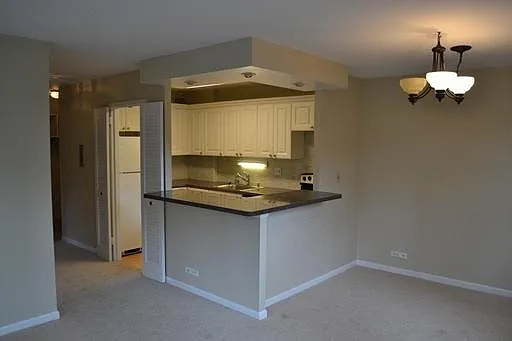 1455 N Sandburg Ter #308 — Photo 6