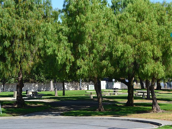 Sandlewood Park Picnic Area