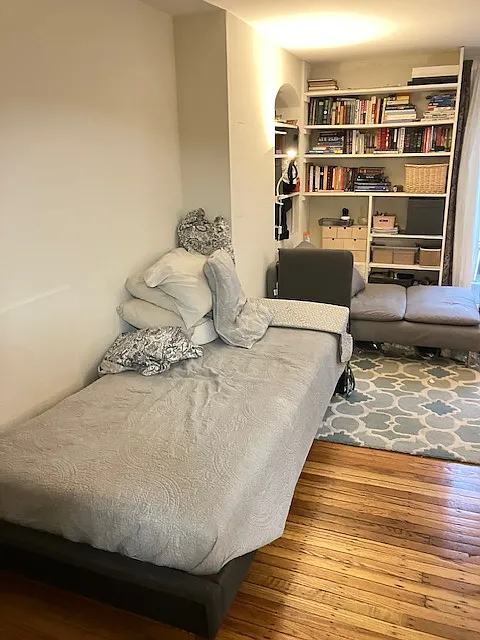 1 bed, 350 sqft, $1,300 — Photo 4