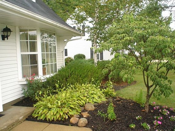 Fantastic landscaping