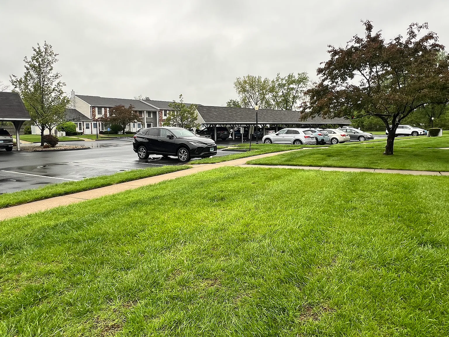 3 bed, 1408 sqft, $2,800 — Photo 3