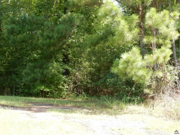 Whitaker Rd, Roberta, GA 31078