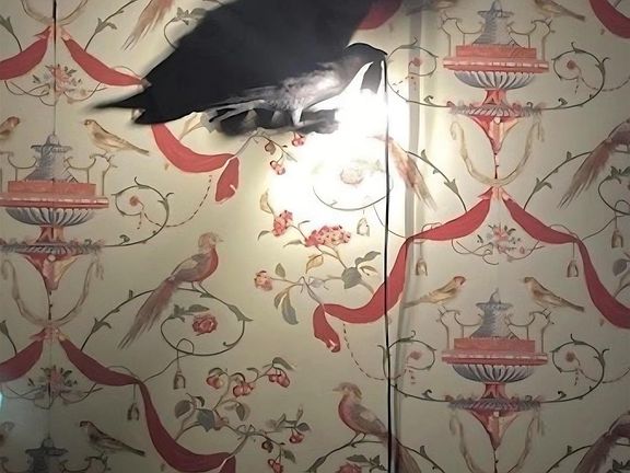 23rd image of this home