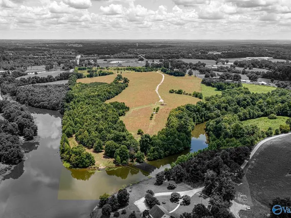 1941 County Road 1589, Baileyton, AL 35019