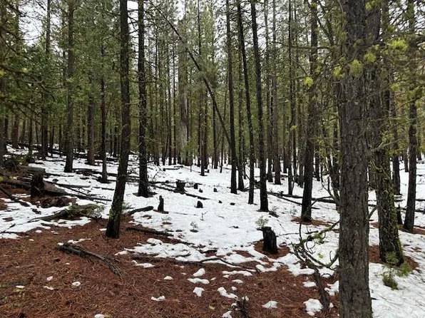 LOT 54 Porpoise Ln, Bonanza, OR 97623