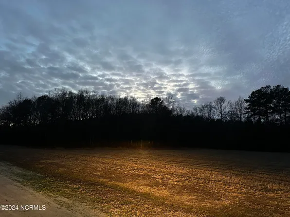 115 Mallie Drive, Pikeville, NC 27863